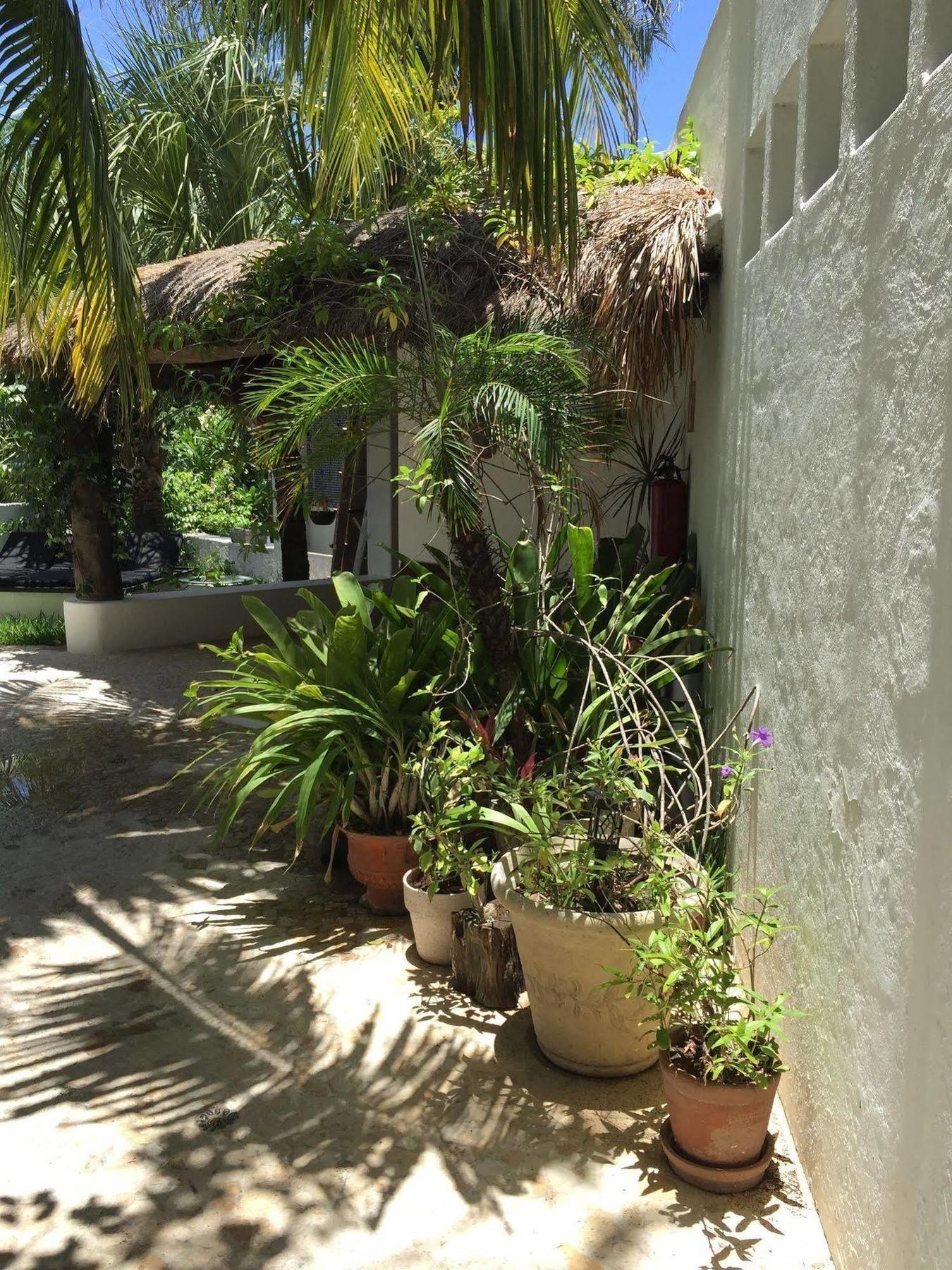 Mi Casa En Cozumel Hotel Bagian luar foto