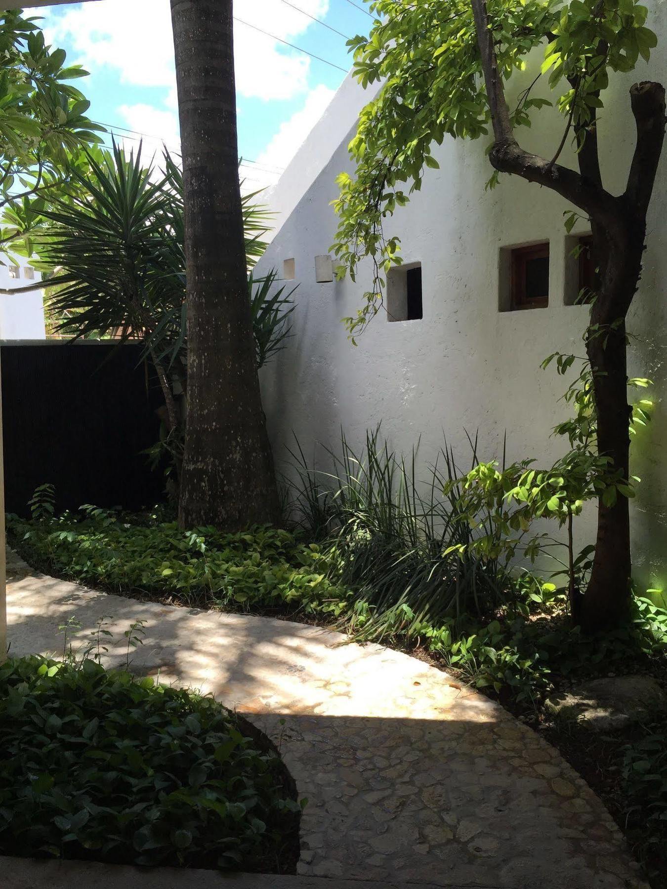 Mi Casa En Cozumel Hotel Bagian luar foto