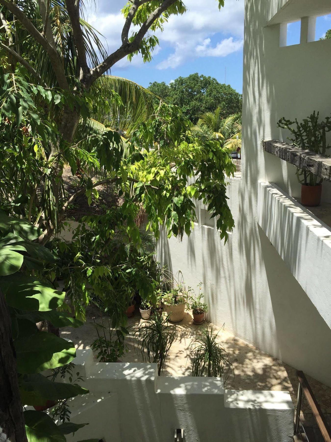 Mi Casa En Cozumel Hotel Bagian luar foto